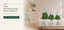 EYB22647 Christmas gnome figure collection B2B product hero