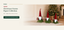 J24295C Christmas gnome figure collection B2B product hero