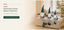 J24296B Christmas gnome figure collection B2B product hero