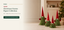 J24299C Christmas gnome figure collection B2B product hero