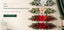 J6055N50 Christmas B2B product hero