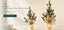 J6075T40-50 Christmas B2B product hero