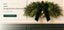 J6089N55 Christmas B2B product hero