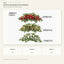 DTI00751 white background product series