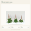 EYB22640 Christmas gnome figure collection on white background