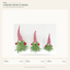 EYB22949 Christmas gnome figure collection on white background