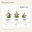 J22653 white background product series
