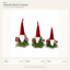 J24295C Christmas gnome figure collection on white background