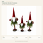 J24297C Christmas gnome figure collection on white background