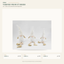 J24303B1 Christmas gnome figure collection on white background