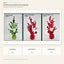 J25003T40AW white background product series