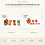 J25352NG-1 image 2 - Autumn Decorative Ornament Set
