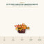 J25408T25-2 image 2 - Autumn Tabletop Arrangement