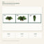 J6089N-D white background product series