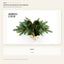J6089N55 white background product series