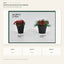 J6120T15 white background product series