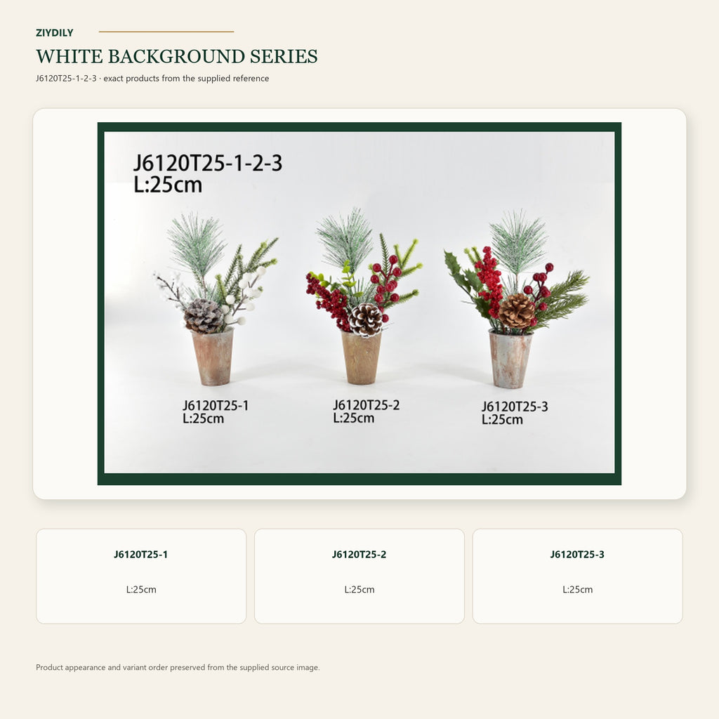 J6120T25-1-2-3 white background product series