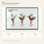 J6120T25-1-2-3 white background product series