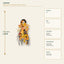 J25389D50 image 3 - Autumn Harvest Door Swag