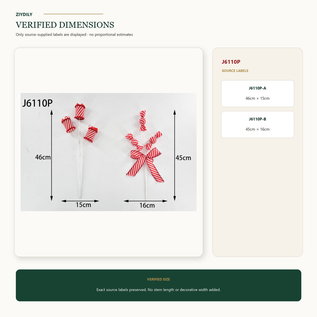 J6110P verified dimensions and specifications