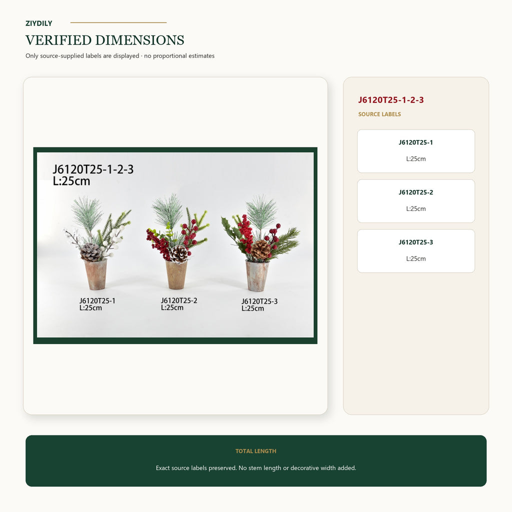 J6120T25-1-2-3 verified dimensions and specifications