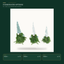 EYB22635 Christmas gnome product variants