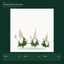 EYB22645 Christmas gnome product variants