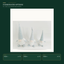 EYB22661 Christmas gnome product variants