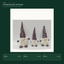 EYB22723 Christmas gnome product variants