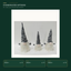 EYB22728 Christmas gnome product variants