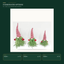 EYB22949 Christmas gnome product variants