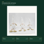 J24303B2 Christmas gnome product variants