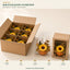 J25406NGT20 image 4 - Autumn Tabletop Arrangement