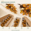 J25424D70 image 4 - Autumn Harvest Door Swag