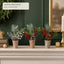 Potted Christmas Tabletop Spray – 25 cm (J6120T25-1-2-3)