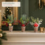 Potted Christmas Tabletop Spray – 25 cm (J6120T25-4-5-6)