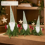 EYB21106 Christmas gnome retail display application