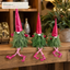 EYB22650 Christmas gnome retail display application