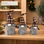 EYB22657 Christmas gnome retail display application