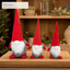 EYB22662 Christmas gnome retail display application
