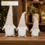 EYB22666 Christmas gnome retail display application