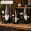 EYB22717 Christmas gnome retail display application