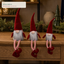 J24295B Christmas gnome retail display application