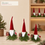 J24295C Christmas gnome retail display application