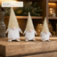 J24303A4 Christmas gnome retail display application