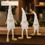 J24303B2 Christmas gnome retail display application