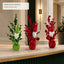 J25003T40AW application concept three