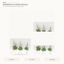 EYB22651 Christmas gnome product details