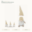 J24303A4 Christmas gnome product details
