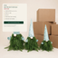 EYB22635 B2B custom project and packaging support